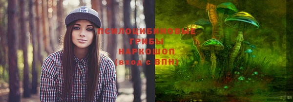 гидропоника Лихославль